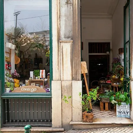 Plum Guide - Relax And Recharge Apartamento Lisboa